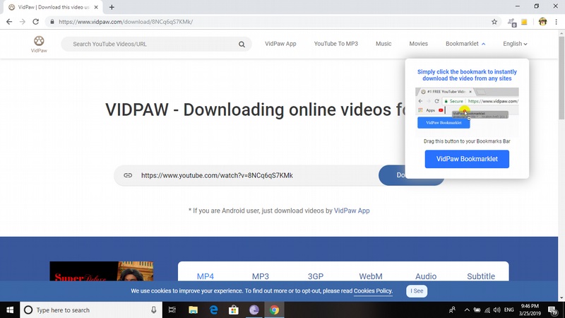 set-vidpaw-review-screen-4