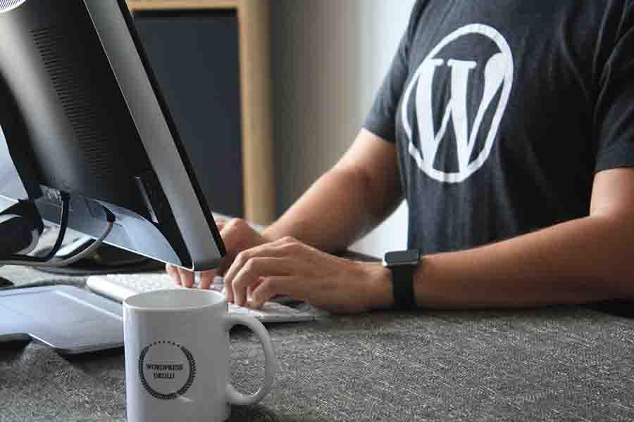 Adding-Favicon-WordPress-Screen-2