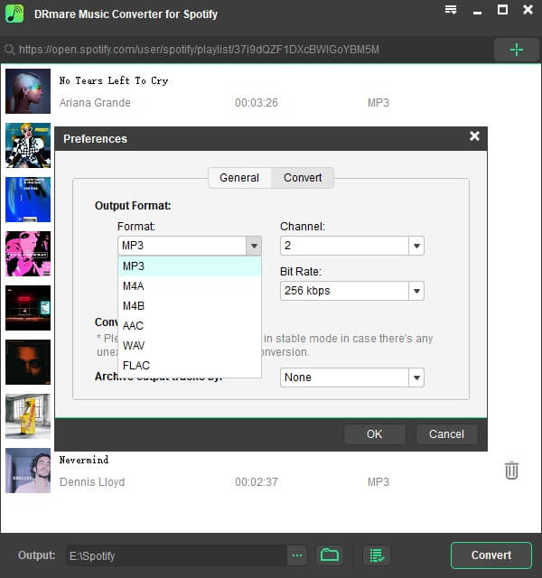 spotify-output-format-win