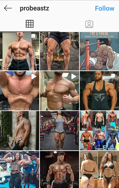 fitness-theme