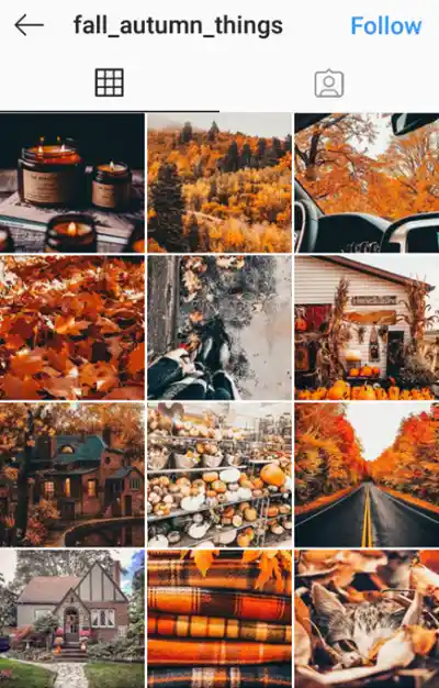 seasonal-theme