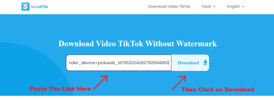 tiktok-download-form
