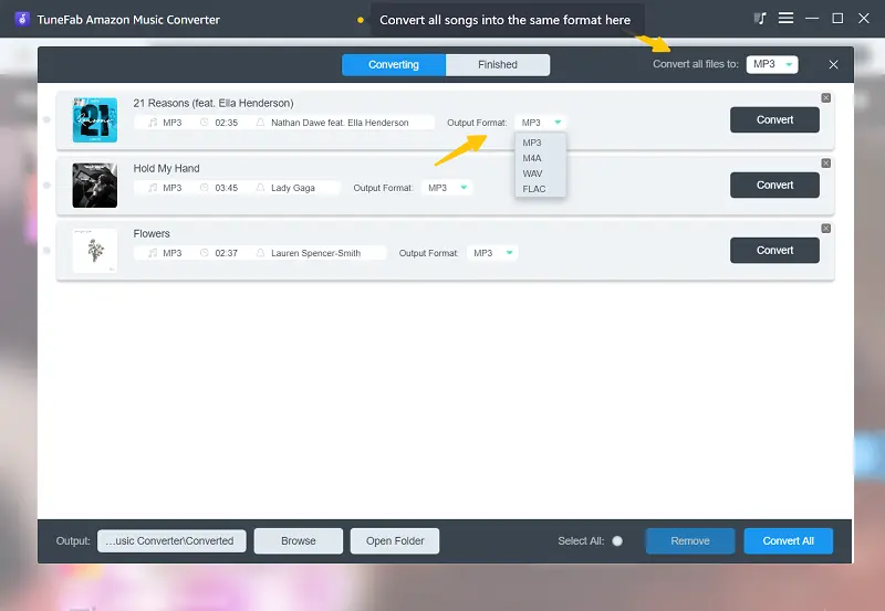 Select Output Format on TuneFab