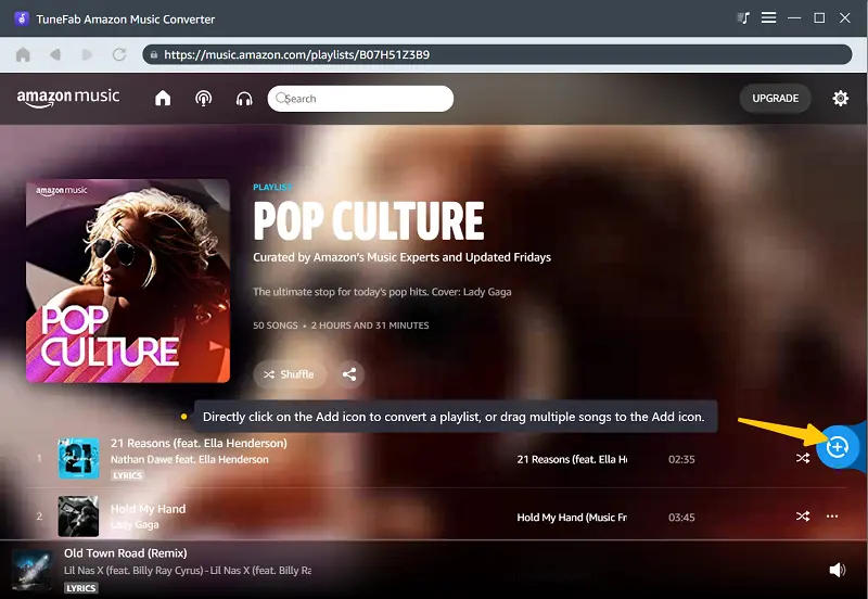 Select Playlists or Songs for Download