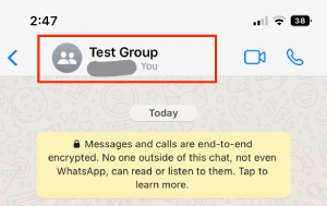whatsapp-ios-2