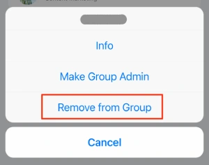 whatsapp-ios-4