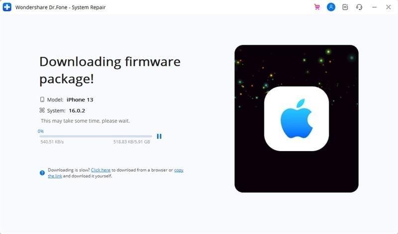 downloading firmware