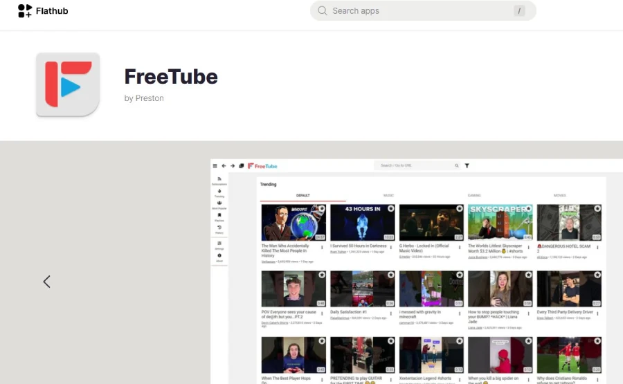 freetube-2