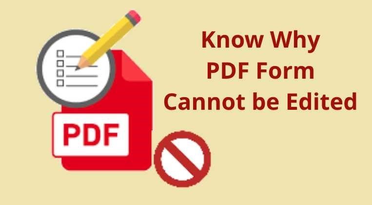 Pdf Form