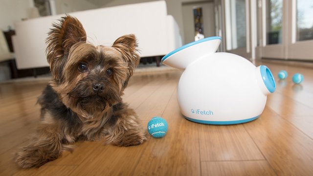 Tech For Pet Ifetch