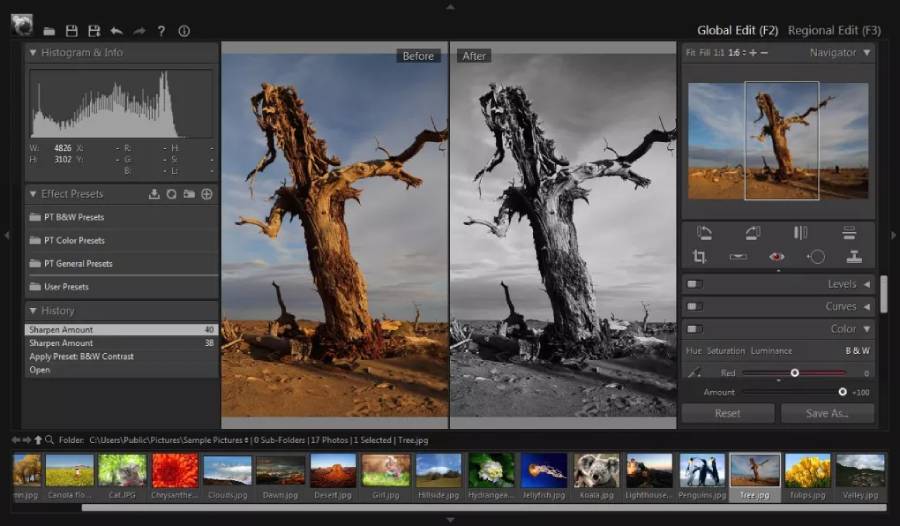 Online Photo Editing Tool