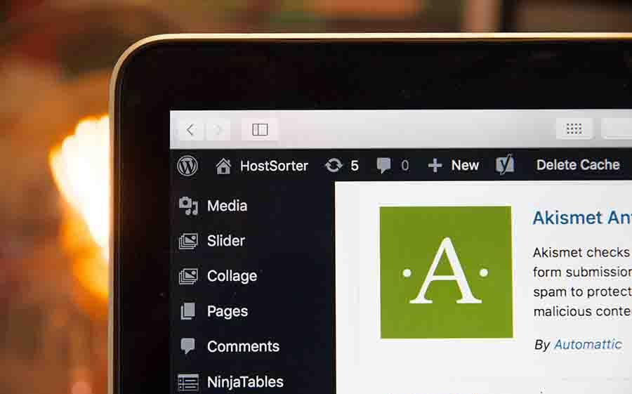 Adding Favicon WordPress