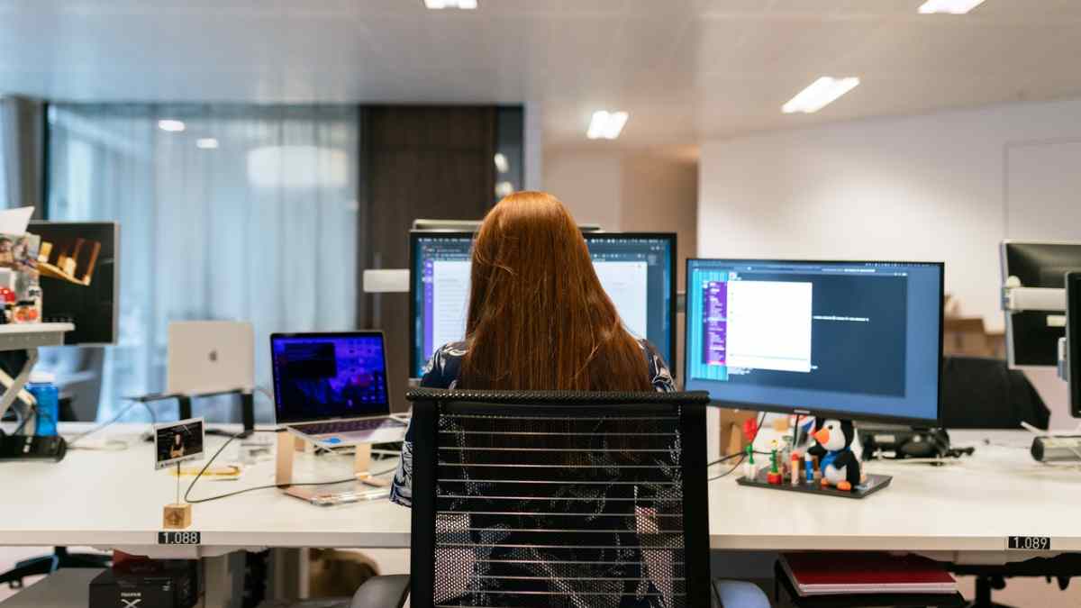 Software Development