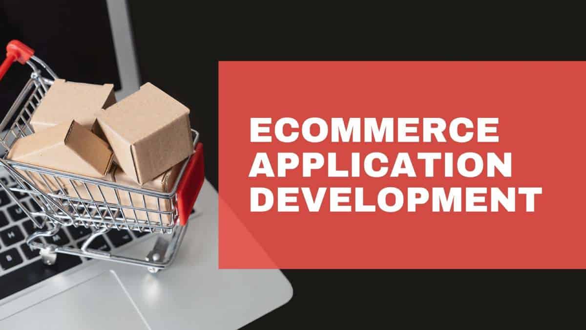Ecommerce Application Development
