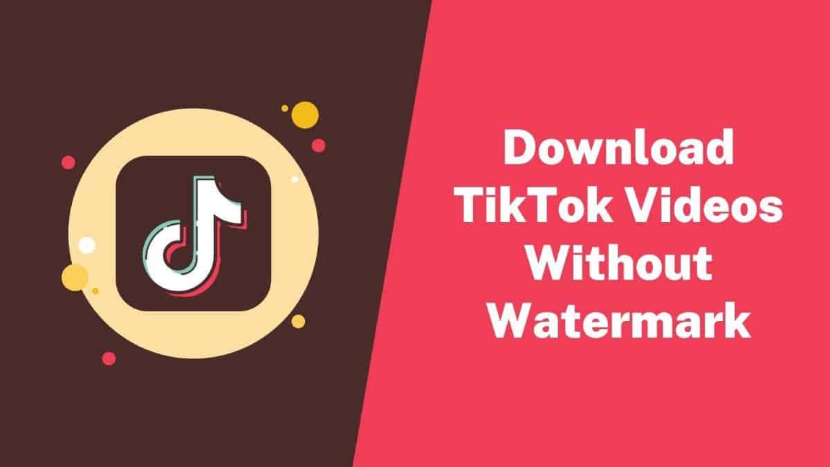 Download TikTok Videos Without Watermark
