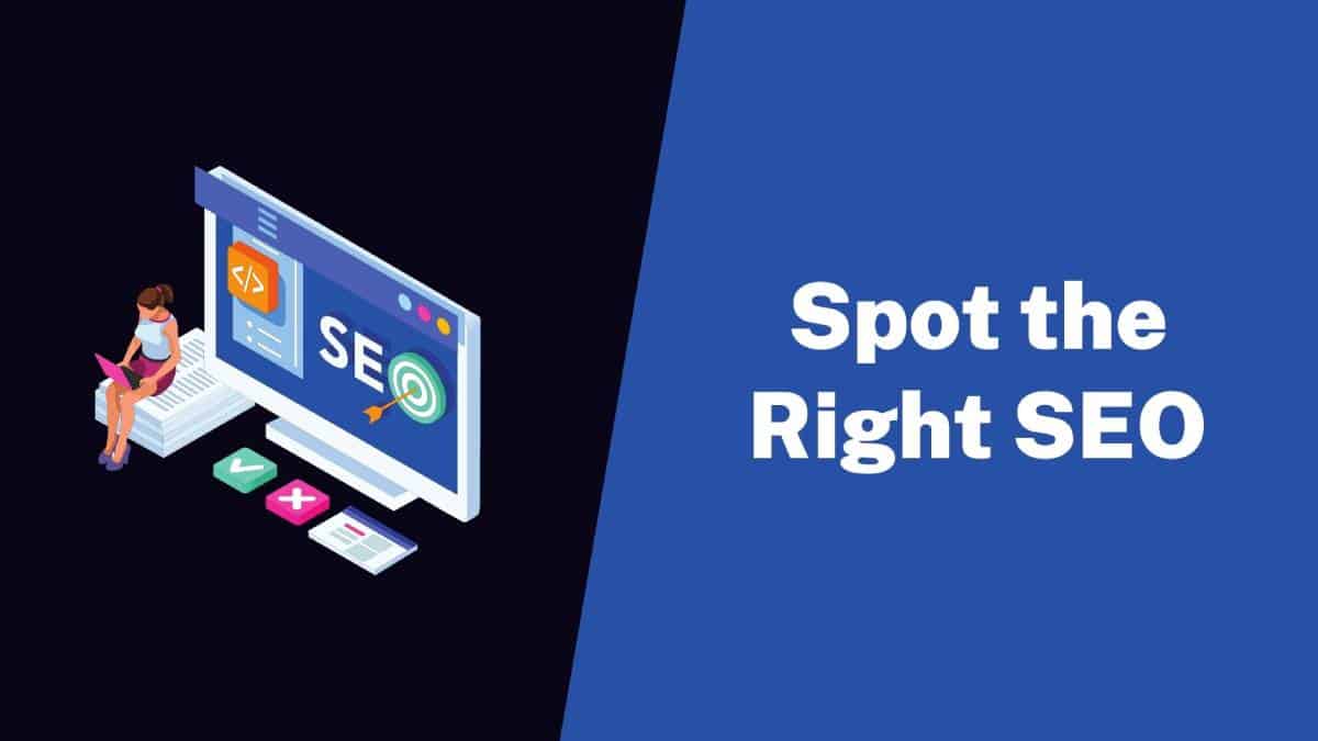 Spot The Right SEO
