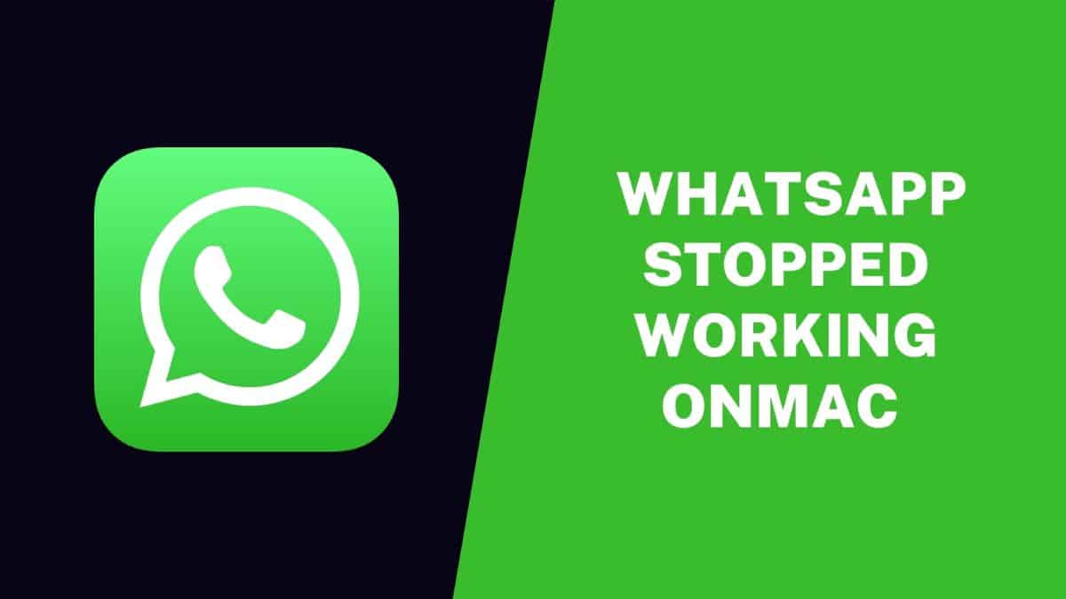 WhatsApp Stopped Working On Mac