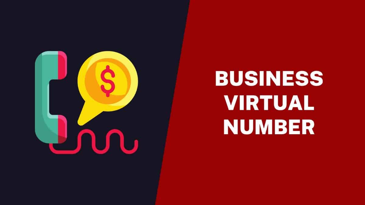 Business Virtual Number
