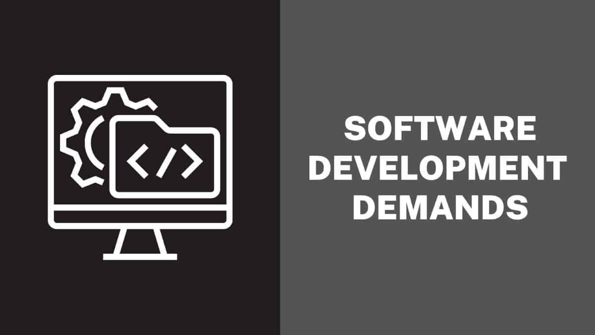 Software Development Demands