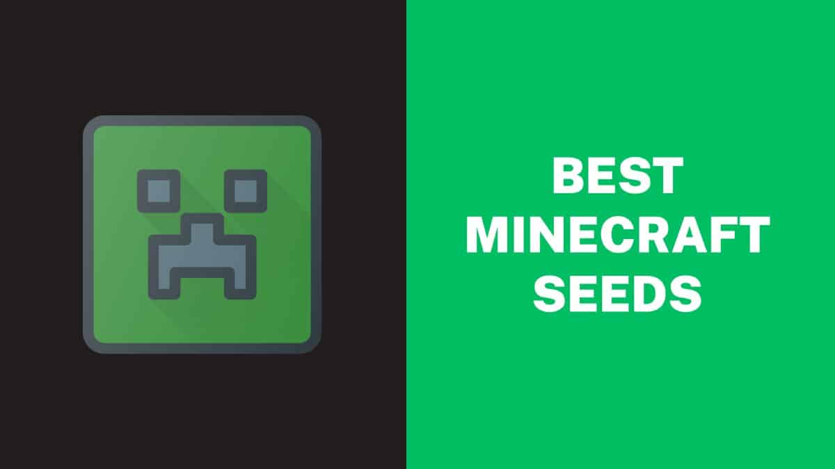 Best Minecraft Seeds