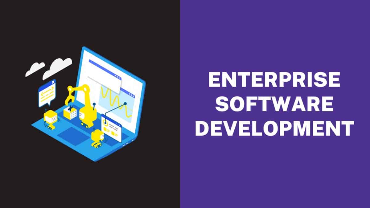 Enterprise Software Development