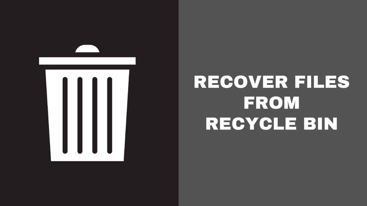 Recover Files From the Recycle Bin