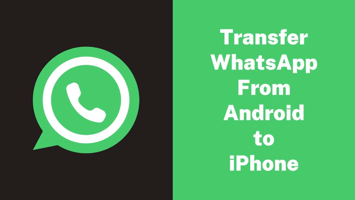 Transfer WhatsApp From Android to iPhone