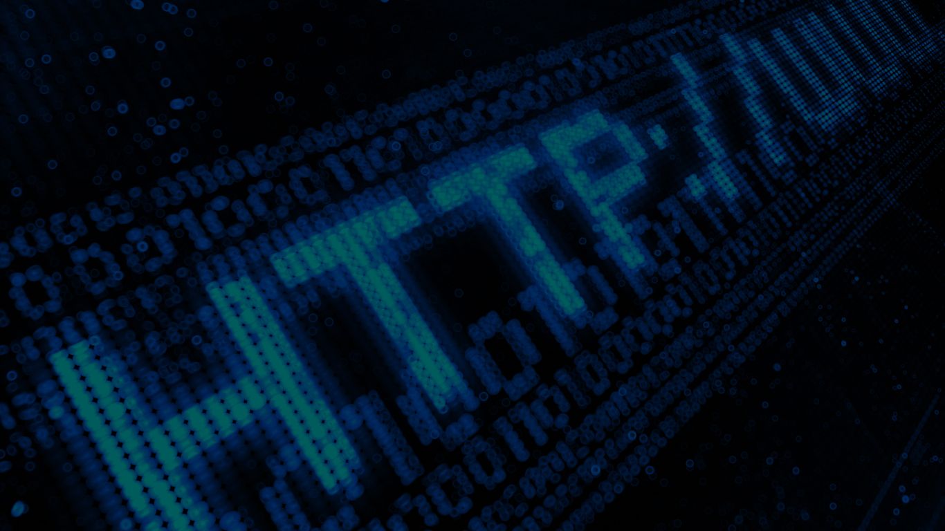 Ip Address