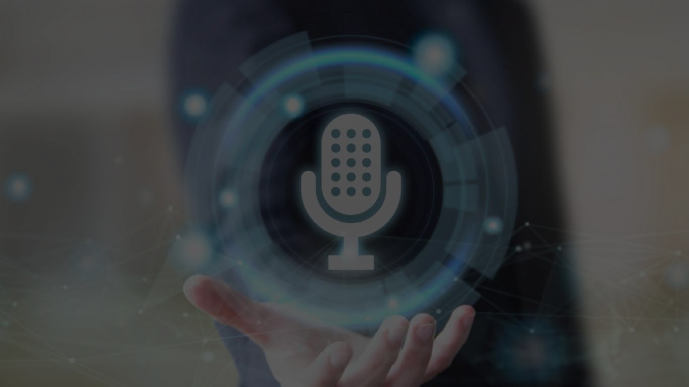 Voice Assistant