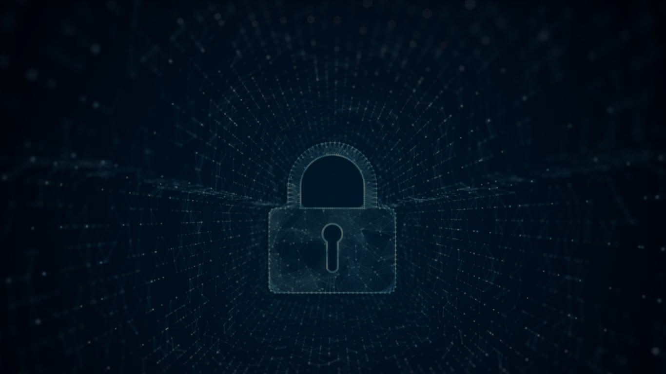 Privacy Security