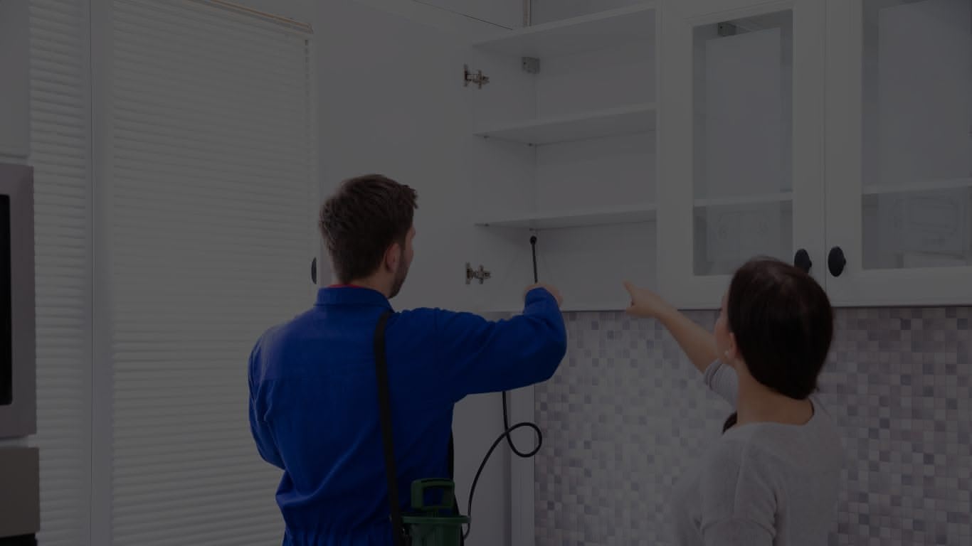 Smart Tech Pest