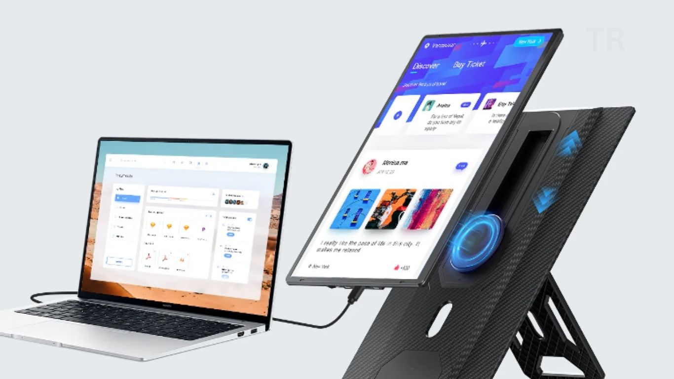 Monitor Portable